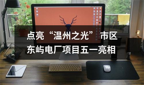 点亮“温州之光” 市区东屿电厂项目五一亮相