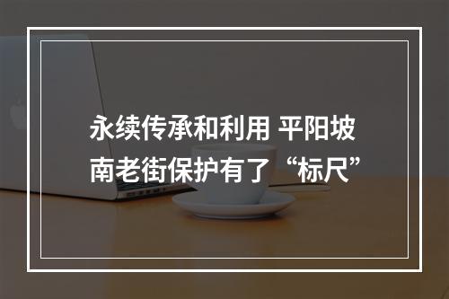 永续传承和利用 平阳坡南老街保护有了“标尺”