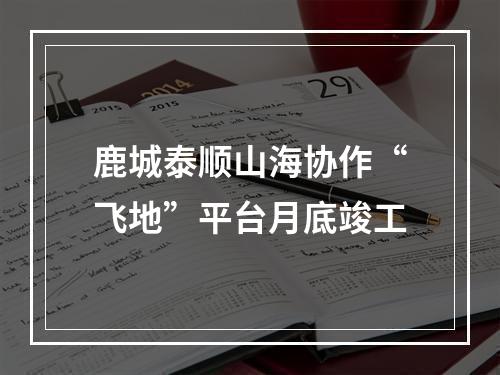 鹿城泰顺山海协作“飞地”平台月底竣工
