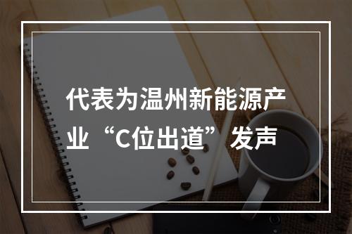 代表为温州新能源产业“C位出道”发声