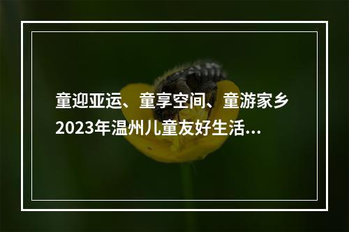 童迎亚运、童享空间、童游家乡 2023年温州儿童友好生活季圆满收官