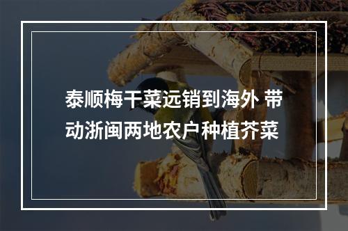 泰顺梅干菜远销到海外 带动浙闽两地农户种植芥菜