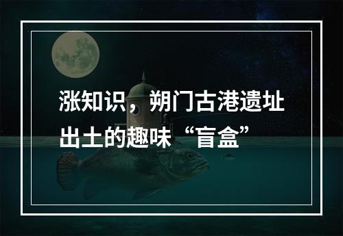 涨知识，朔门古港遗址出土的趣味“盲盒”