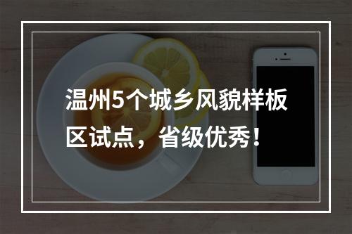 温州5个城乡风貌样板区试点，省级优秀！