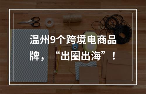 温州9个跨境电商品牌，“出圈出海”！