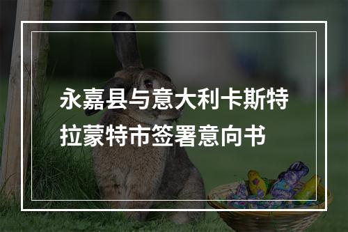 永嘉县与意大利卡斯特拉蒙特市签署意向书