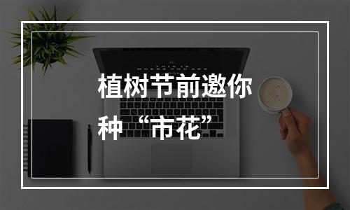 植树节前邀你种“市花”
