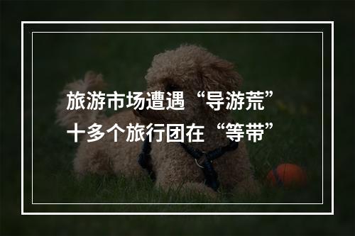 旅游市场遭遇“导游荒” 十多个旅行团在“等带”