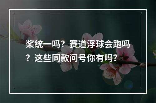 桨统一吗？赛道浮球会跑吗？这些同款问号你有吗？
