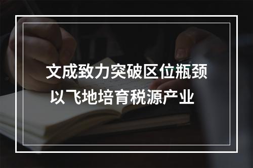 文成致力突破区位瓶颈 以飞地培育税源产业