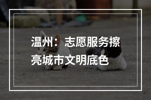 温州：志愿服务擦亮城市文明底色