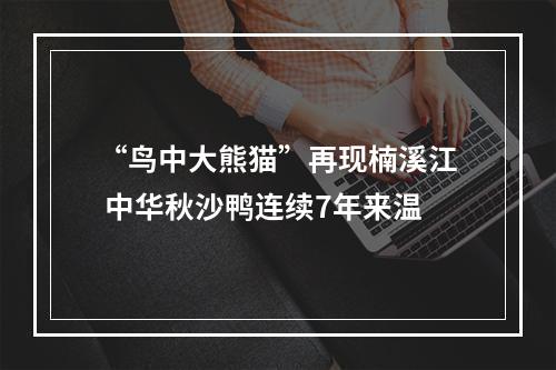 “鸟中大熊猫”再现楠溪江 中华秋沙鸭连续7年来温