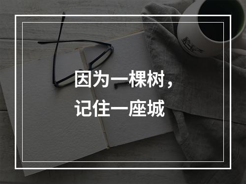 因为一棵树，记住一座城