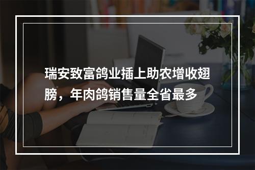 瑞安致富鸽业插上助农增收翅膀，年肉鸽销售量全省最多