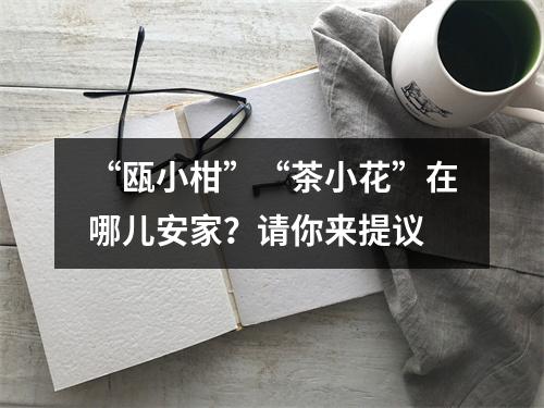 “瓯小柑”“茶小花”在哪儿安家？请你来提议