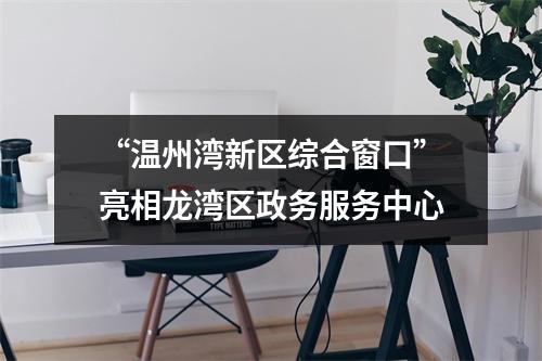 “温州湾新区综合窗口”亮相龙湾区政务服务中心