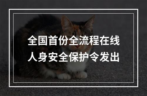全国首份全流程在线人身安全保护令发出