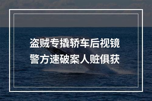 盗贼专撬轿车后视镜 警方速破案人赃俱获
