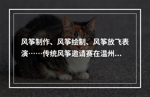 风筝制作、风筝绘制、风筝放飞表演……传统风筝邀请赛在温州举行！