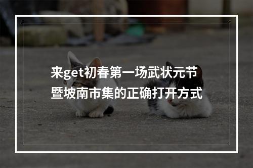 来get初春第一场武状元节暨坡南市集的正确打开方式