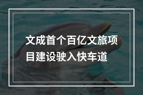 文成首个百亿文旅项目建设驶入快车道