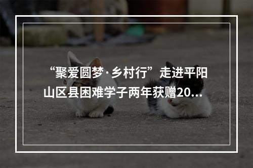 “聚爱圆梦·乡村行”走进平阳 山区县困难学子两年获赠200万元