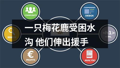 一只梅花鹿受困水沟 他们伸出援手