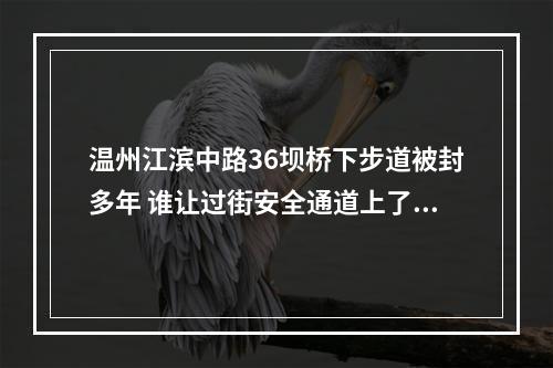 温州江滨中路36坝桥下步道被封多年 谁让过街安全通道上了“锁”