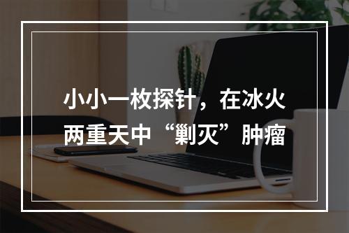 小小一枚探针，在冰火两重天中“剿灭”肿瘤