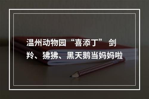 温州动物园“喜添丁” 剑羚、狒狒、黑天鹅当妈妈啦
