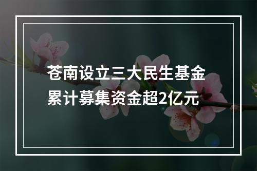 苍南设立三大民生基金 累计募集资金超2亿元