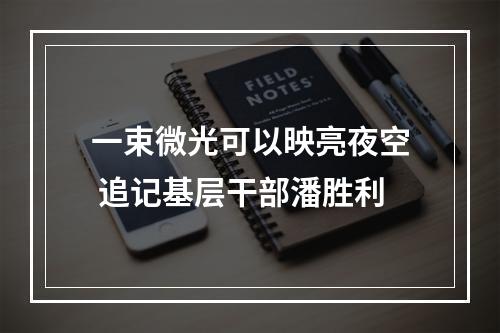 一束微光可以映亮夜空 追记基层干部潘胜利