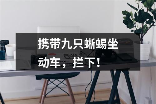 携带九只蜥蜴坐动车，拦下！