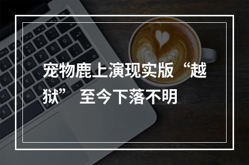 宠物鹿上演现实版“越狱” 至今下落不明