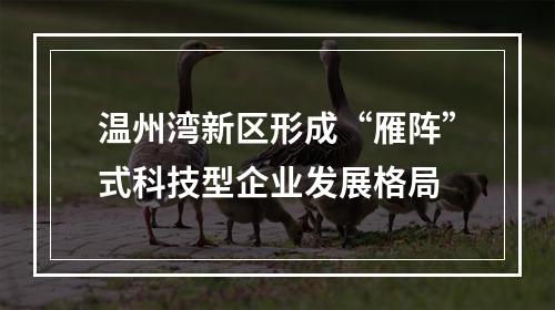 温州湾新区形成“雁阵”式科技型企业发展格局