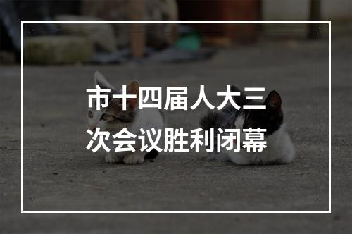 市十四届人大三次会议胜利闭幕