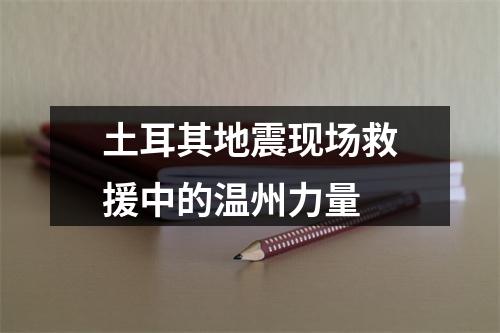 土耳其地震现场救援中的温州力量
