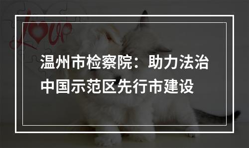 温州市检察院：助力法治中国示范区先行市建设