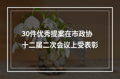 30件优秀提案在市政协十二届二次会议上受表彰