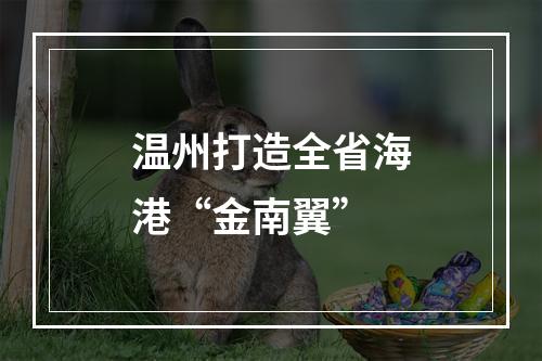 温州打造全省海港“金南翼”