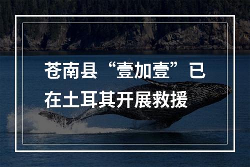 苍南县“壹加壹”已在土耳其开展救援