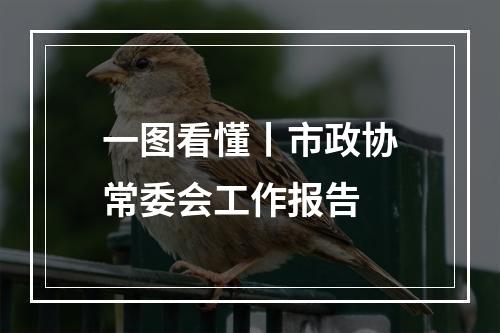 一图看懂丨市政协常委会工作报告