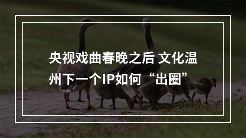 央视戏曲春晚之后 文化温州下一个IP如何“出圈”