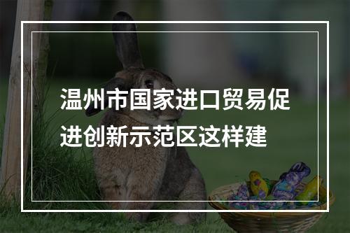 温州市国家进口贸易促进创新示范区这样建