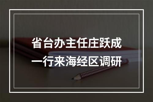 省台办主任庄跃成一行来海经区调研