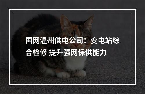 国网温州供电公司：变电站综合检修 提升强网保供能力