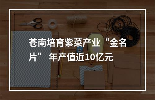 苍南培育紫菜产业“金名片” 年产值近10亿元