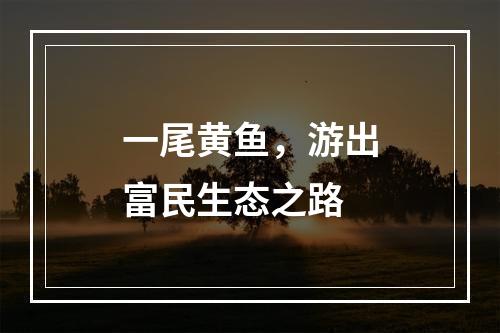 一尾黄鱼，游出富民生态之路