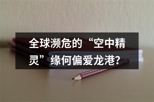 全球濒危的“空中精灵”缘何偏爱龙港？
