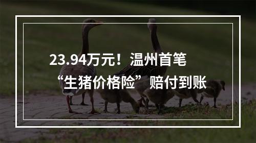 23.94万元！温州首笔“生猪价格险”赔付到账